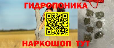 индика Будённовск