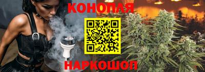индика Будённовск