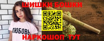индика Будённовск
