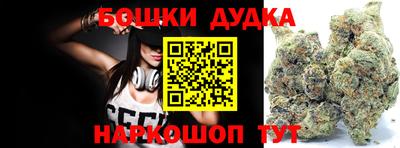 индика Будённовск