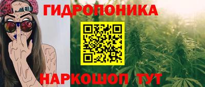 индика Будённовск