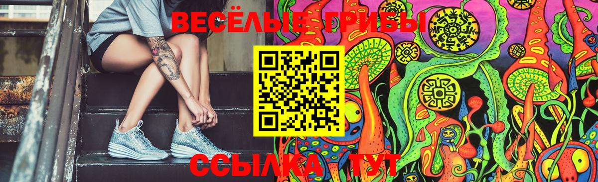 закладка  Павлово  Галлюциногенные грибы Cubensis  Псилоцибиновые грибы мухоморы 