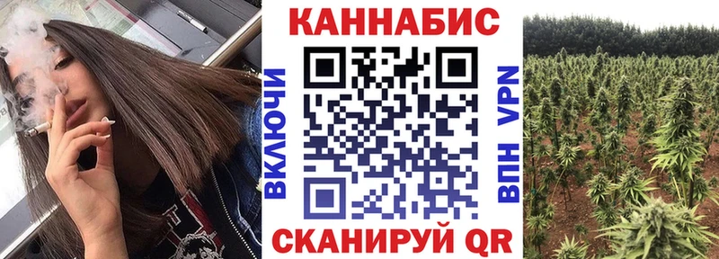 МАРИХУАНА планчик  Павлово 